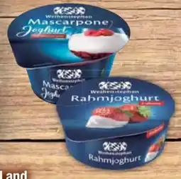 E-Center Weihenstephan Rahmjoghurt Angebot