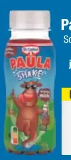 E-Center Dr. Oetker Paula Shake Schoko Angebot