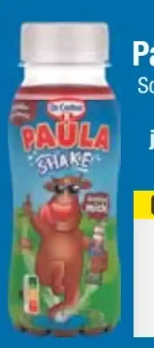 E-Center Dr. Oetker Paula Shake Schoko Angebot