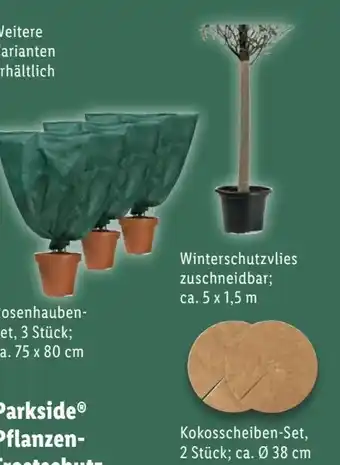 Lidl Parkside Pflanzen Frostschutz Angebot
