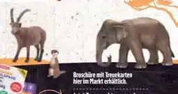 E-Center Schleich Spielfiguren Angebot