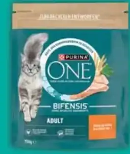 E-Center Purina One Katzennahrung Angebot