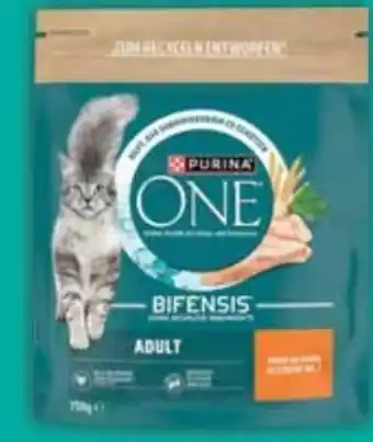 E-Center Purina One Katzennahrung Angebot