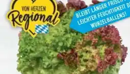E-Center Ballensalat Trio Mix Angebot
