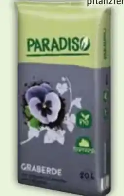 Edeka Paradiso Graberde Angebot
