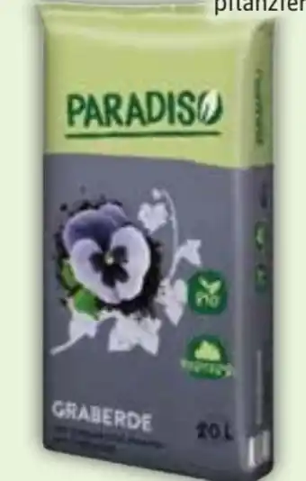 Edeka Paradiso Graberde Angebot