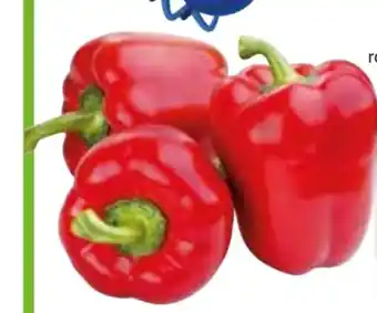 Edeka Gut & Günstig Paprika Rot Angebot