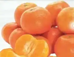 E-Center Edeka Genussmomente Mandarinen Leanri Angebot