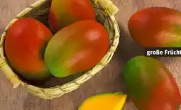 REWE Center Rewe Beste Wahl Mango Osteen Angebot