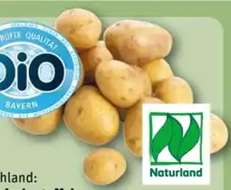 REWE Center Bio-Speisekartoffeln Angebot