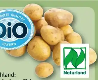 REWE Center Bio-Speisekartoffeln Angebot