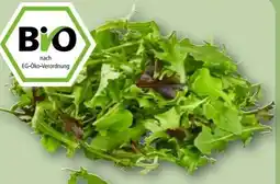 REWE Center Rewe Bio Crispy Salatmix Angebot