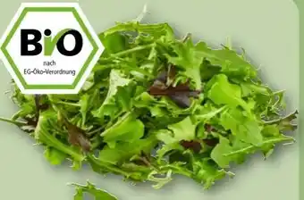 REWE Center Rewe Bio Crispy Salatmix Angebot