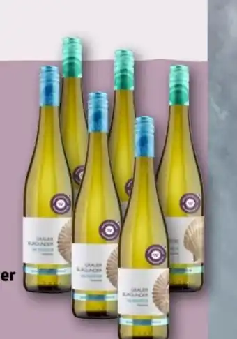 REWE Center Weingut Kendermanns Grauer Burgunder vom Kalkstein Angebot