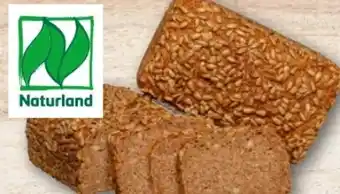 REWE Center Rewe Back-Station Bio Roggenvollkornbrot Angebot