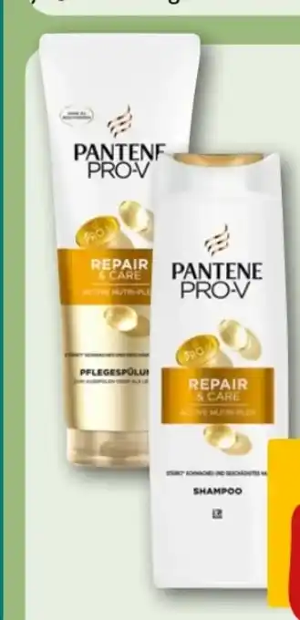 REWE Center Pantene Pro-V Repair & Care Spülung Angebot