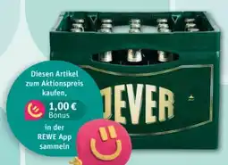 REWE Center Jever Pilsener Angebot