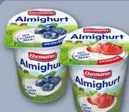 REWE Center Ehrmann Früchte-Traum Erdbeere Angebot