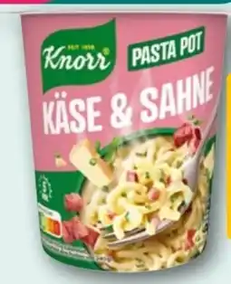 REWE Knorr Pasta Pot Käse & Sahne Angebot