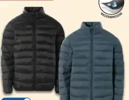 Lidl Livergy Herren Steppjacke Angebot
