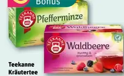 REWE Teekanne Kräutertee Angebot