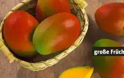 REWE Rewe Beste Wahl Mango Osteen Angebot