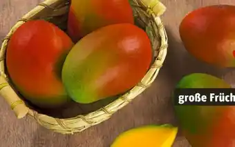 REWE Rewe Beste Wahl Mango Osteen Angebot