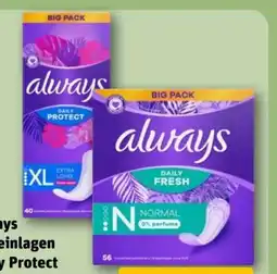 REWE Always Slipeinlagen Daily Protect XL Angebot