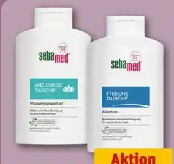 REWE Center Sebamed Duschgel Angebot