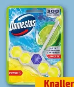 REWE Center Domestos WC Steine Power 5 Angebot