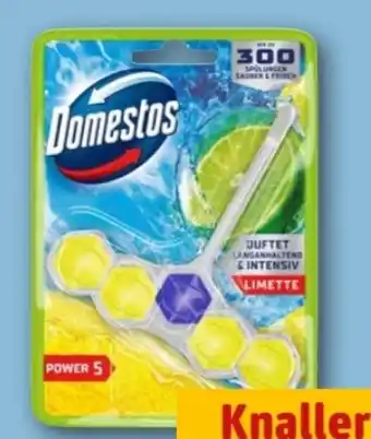 REWE Center Domestos WC Steine Power 5 Angebot