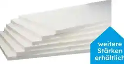 Globus Baumarkt Styropor-Wärmedämmplatte EPS 040 WI Angebot