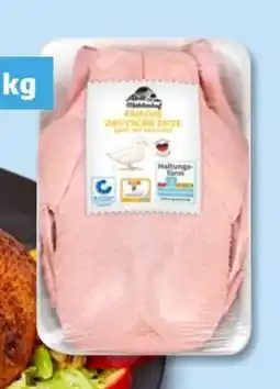 PENNY Mühlenhof Junge Ente Angebot