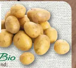 nahkauf Rewe Bio Bio-Speisekartoffeln Angebot