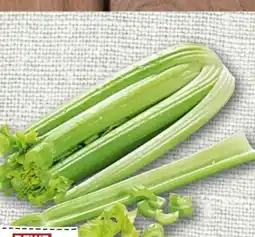 nahkauf Rewe Regional Staudensellerie Angebot