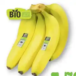 Scheck-in-Center Edeka Bio Bio-Bananen Angebot