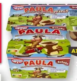 Scheck-in-Center Dr. Oetker Paula Schoko-Pudding Angebot