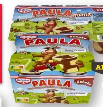 Scheck-in-Center Dr. Oetker Paula Schoko-Pudding Angebot
