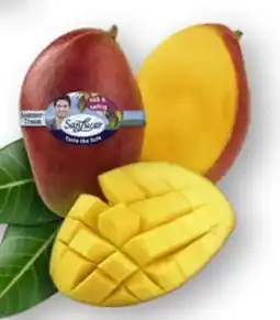 Scheck-in-Center SanLucar Mango Osteen Angebot
