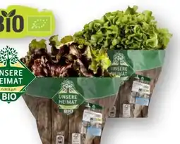 Scheck-in-Center Unsere Heimat Echt & Gut Bio Bunte Salate Angebot