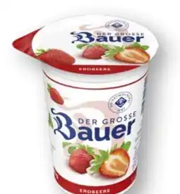 Scheck-in-Center Bauer Der Große Fruchtjoghurt Angebot