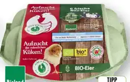 Scheck-in-Center Unsere Heimat Echt & Gut Huhn Hahn Bio-Eier Angebot