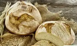 Scheck-in-Center Scheck-in Bäckerei Bio Dinkelbrot Angebot