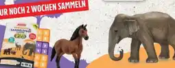 Edeka Schleich Tierischer Sammelspaß Angebot