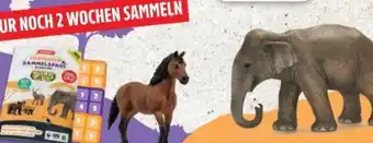 Edeka Schleich Tierischer Sammelspaß Angebot