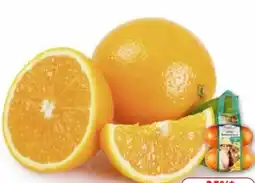 Edeka SanLucar Orangen Angebot