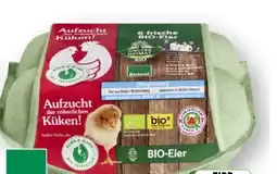 Edeka Unsere Heimat Echt & Gut Huhn Hahn Bio-Eier Angebot