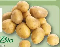 REWE Center Rewe Bio Bio-Speisekartoffeln Angebot