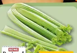 REWE Center Rewe Regional Staudensellerie Angebot