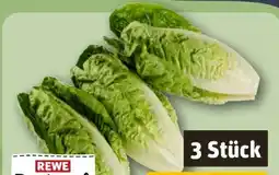 REWE Rewe Regional Romana Salatherzen Angebot